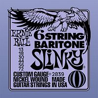 Ernie Ball 2839