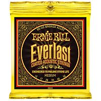 Ernie Ball 2554