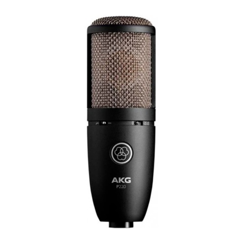 AKG P220