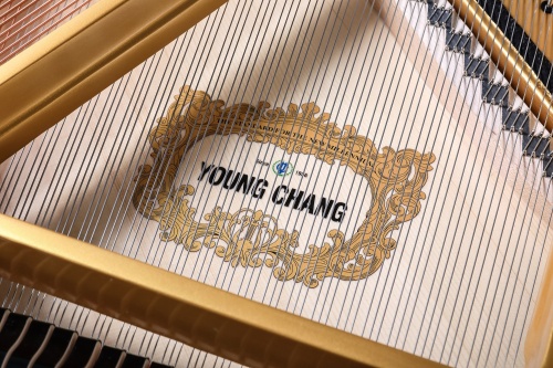 Young Chang YC158E фото 7