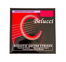 Belucci acoustic